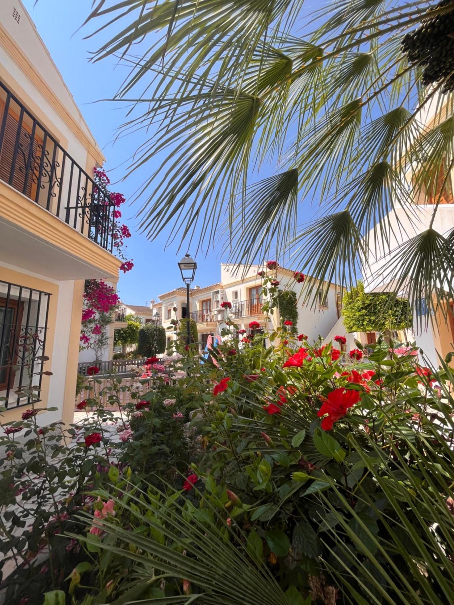 Apartamento Esquina Verde En Vera Coast Playas de Vera Dış mekan fotoğraf