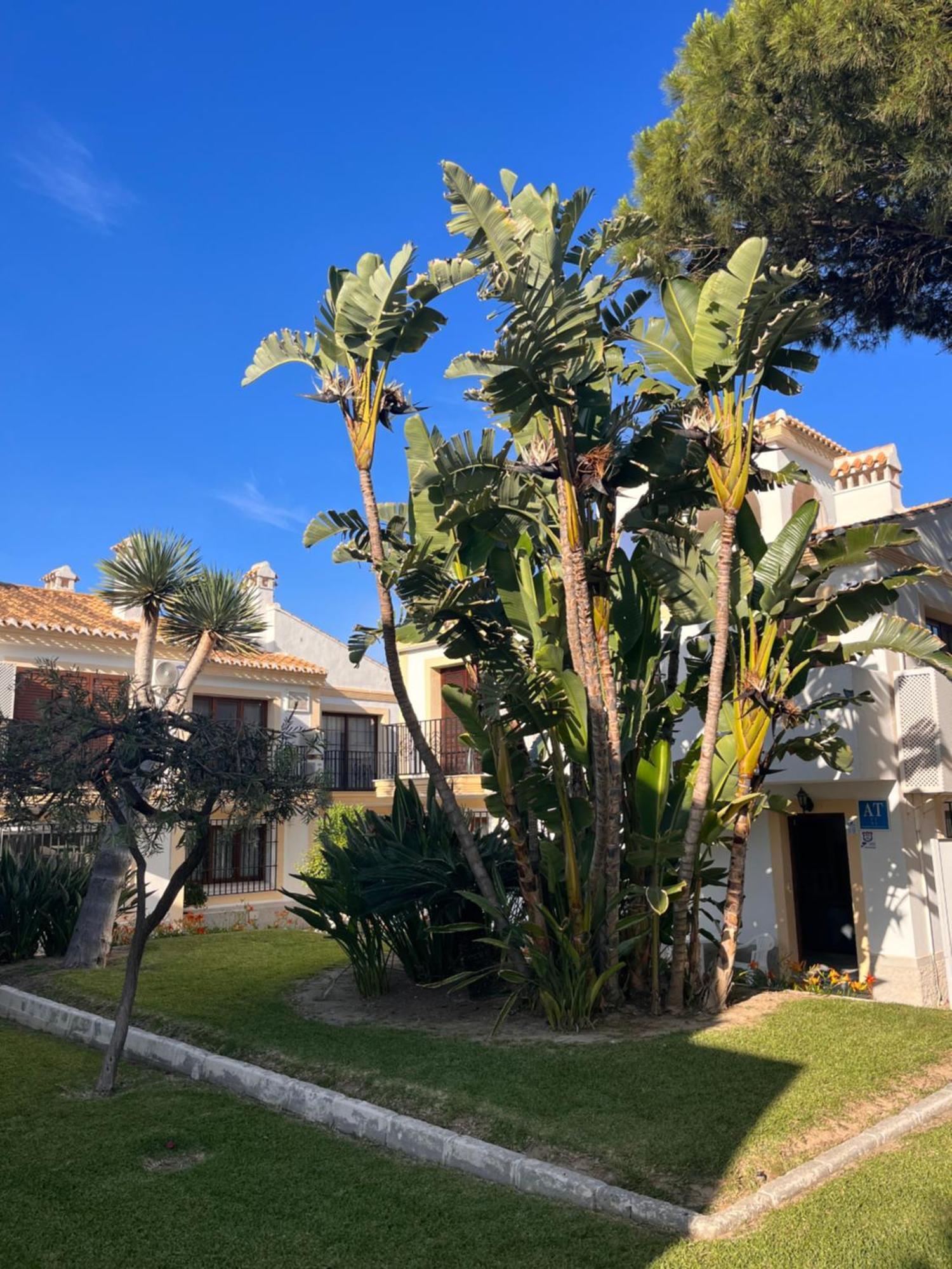 Apartamento Esquina Verde En Vera Coast Playas de Vera Dış mekan fotoğraf