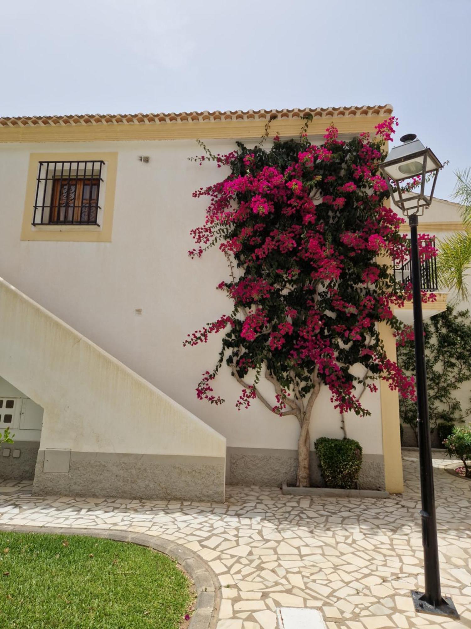 Apartamento Esquina Verde En Vera Coast Playas de Vera Dış mekan fotoğraf